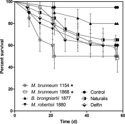 Bioaugmentation of Entomopathogenic Fungi for Sustainable Agriotes Larvae (Wireworms) Management in Maize